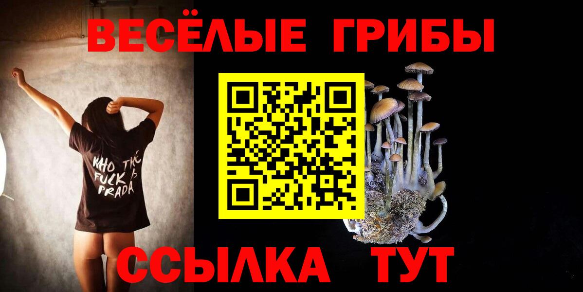Псилоцибиновые грибы прущие грибы  Псилоцибиновые грибы мицелий  Вход с VPN  Хасавюрт 